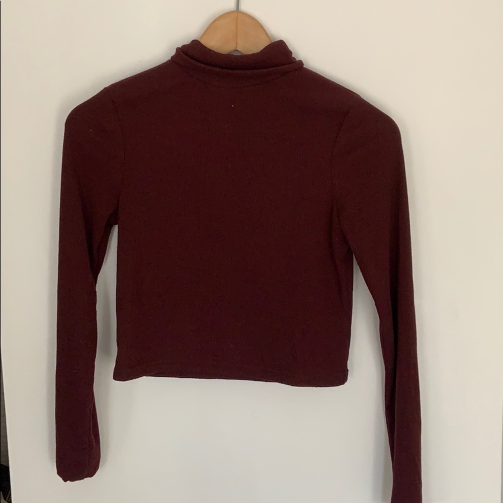 Cropped long sleeve turtle neck.